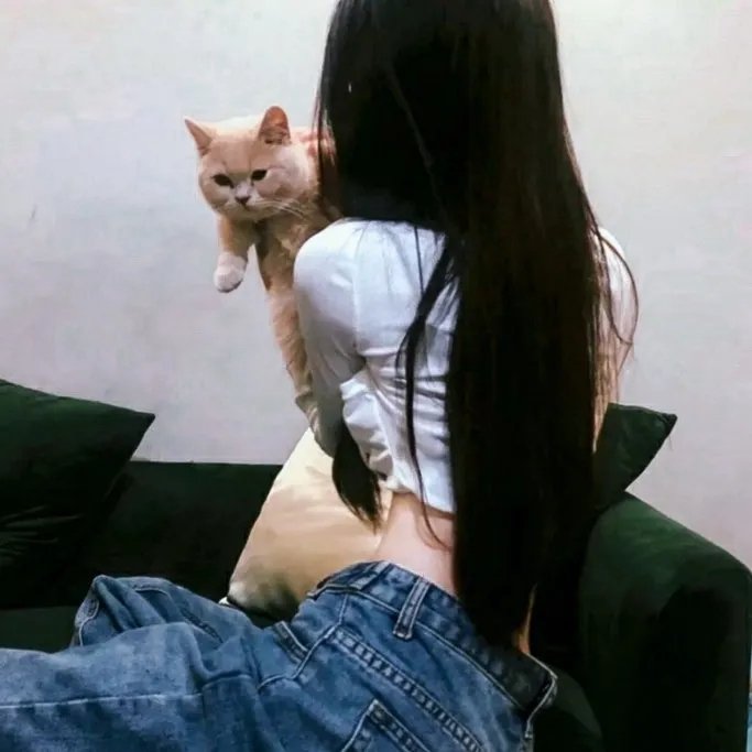 凶手教练
